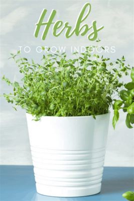  Indoor Herb Gardening: A Beginner's Guide to Growing Herbs Year-Round: Unveiling Aromatic Symphonies and Culinary Adventures