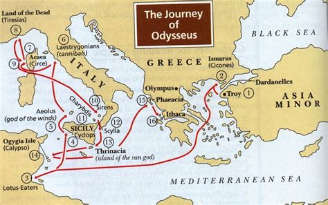  The Odyssey of Law: A Journey Through Italian Jurisprudence!