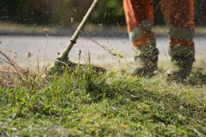 Gartenarbeiten im Herbst