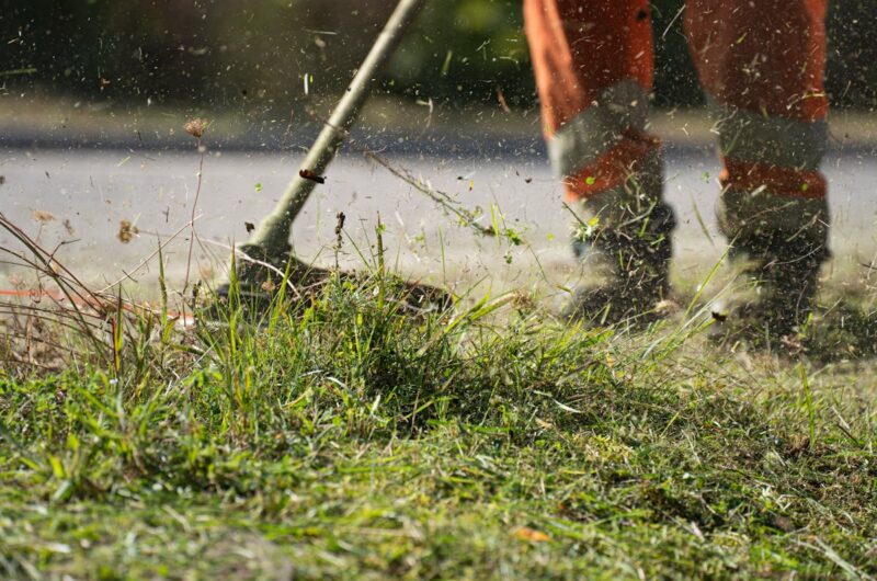 Gartenarbeiten im Herbst